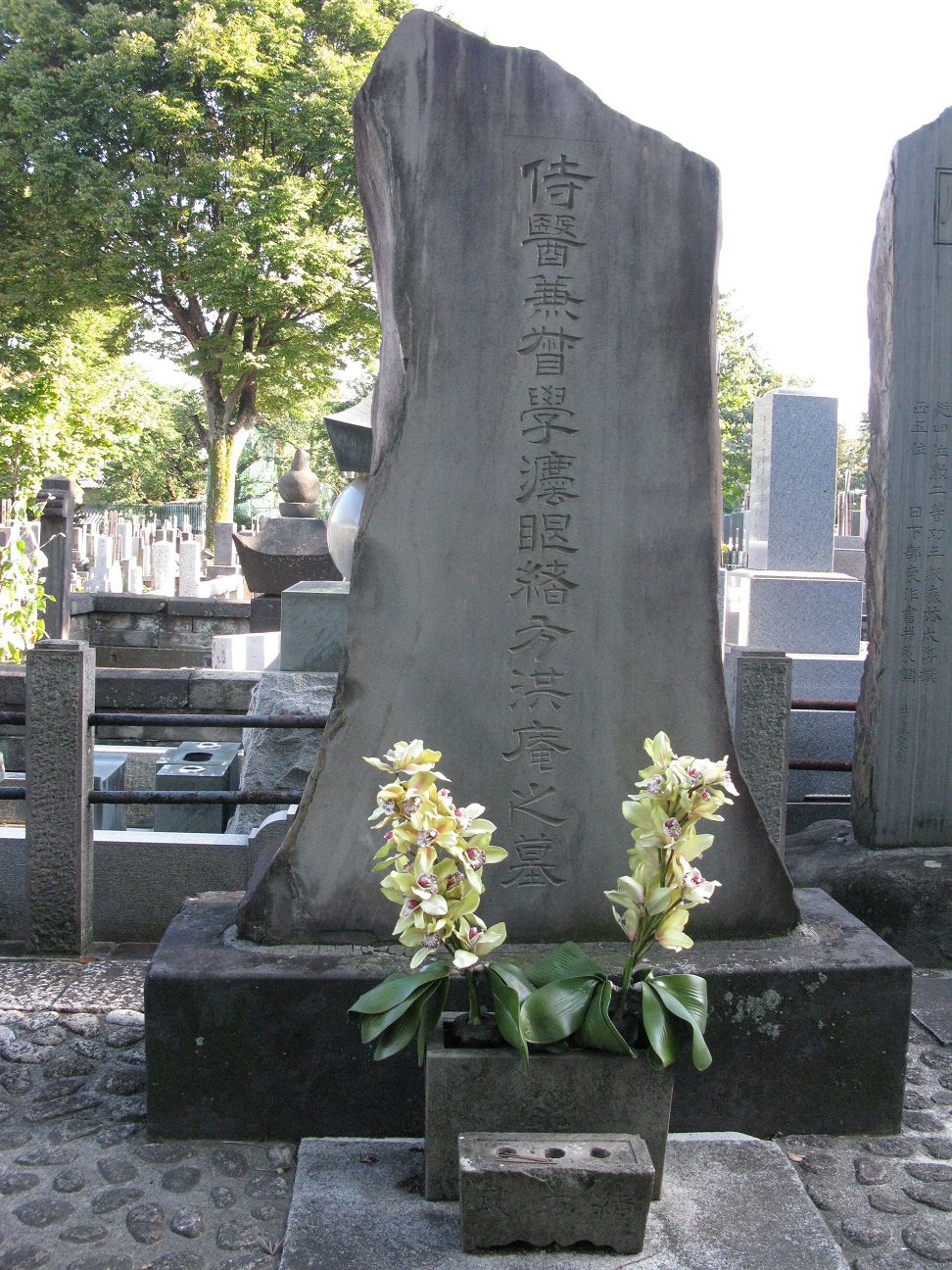 ４ 緒方洪庵の１３人の子供たち 改訂版 江戸東京医史学散歩