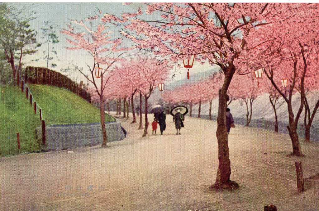 岩船寺の紫陽花と歴史的建築の魅力 【開運絵画】静花に宿る面影